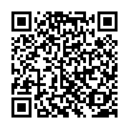 QR code for plate DSF 029
