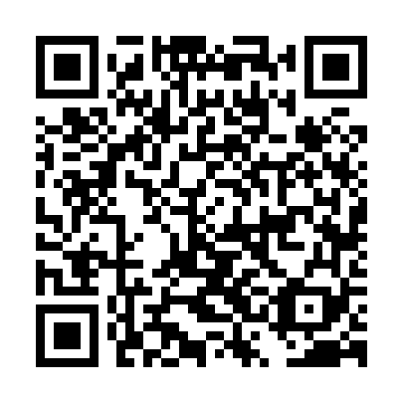 QR code for plate DSF 869