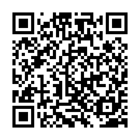 QR code for DSG 195