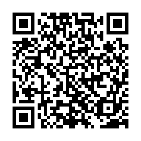 QR code for DSG 373