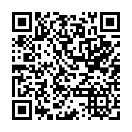 QR code for DSG 407