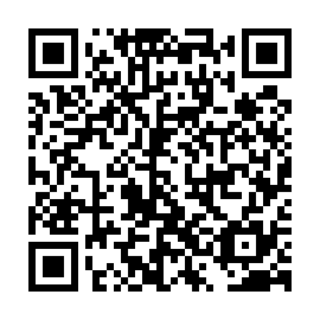 QR code for DSG535