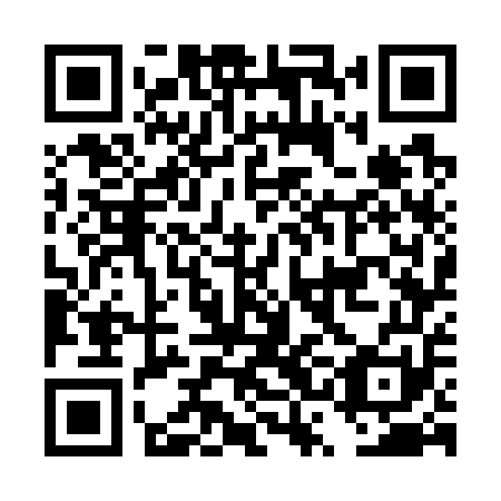QR code for plate DSG 751
