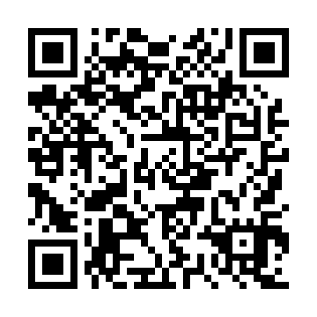 QR code for plate DSH 015