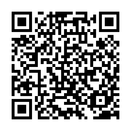QR code for DSI 085