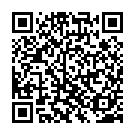 QR code for DSI 101