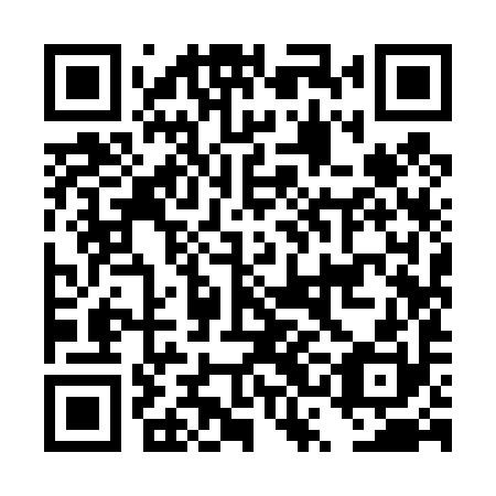 QR code for DSI 490