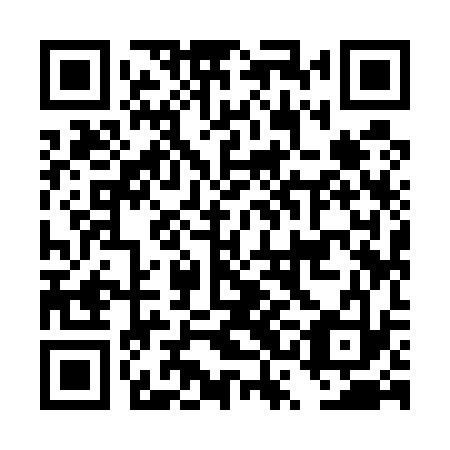 QR code for DSI533