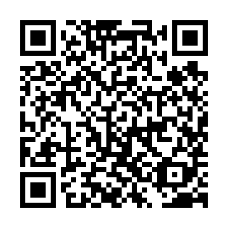 QR code for DSI689