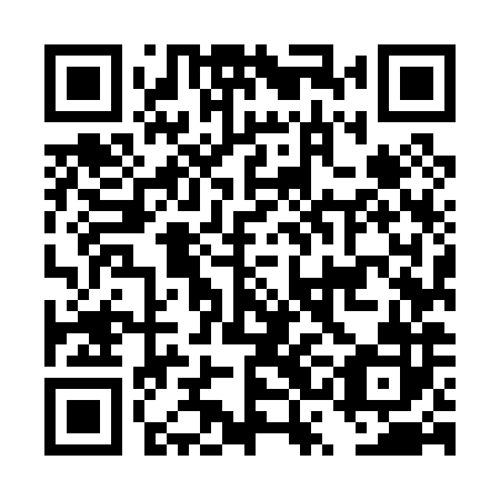 QR code for DSM 082