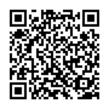QR code for DSM 379