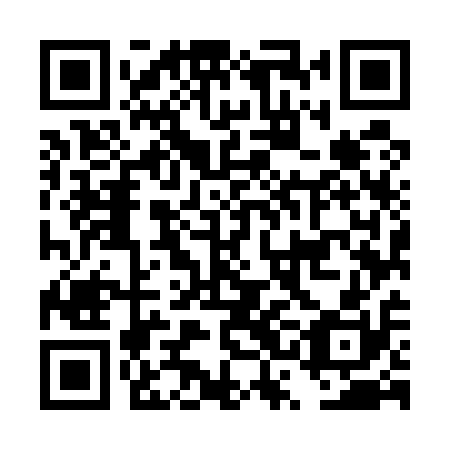 QR code for DSM 510