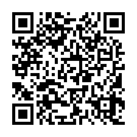 QR code for DSM 938
