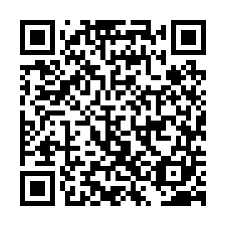 QR code for plate DSM 241