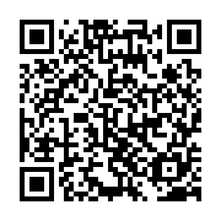 QR code for plate DSO 355