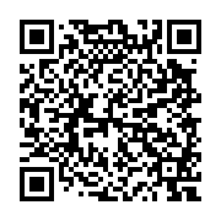 QR code for DSP 080