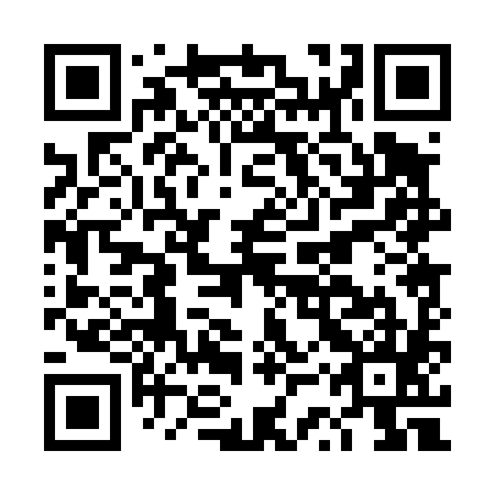QR code for DSP 485