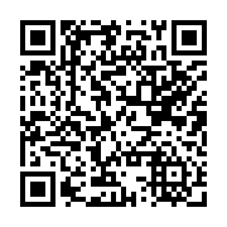 QR code for DSP 914