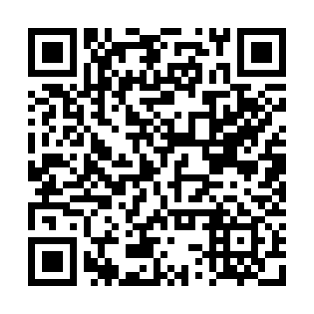 QR code for DSQ 339