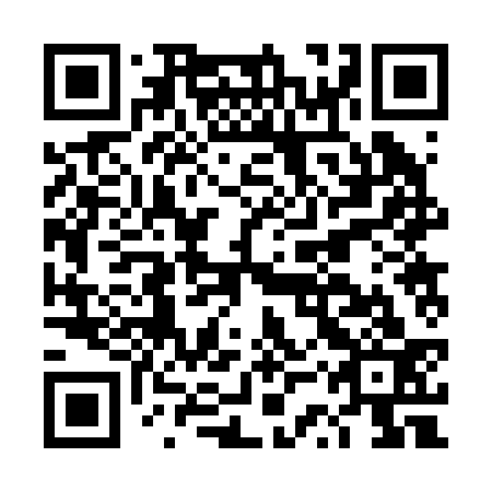 QR code for DSR 233