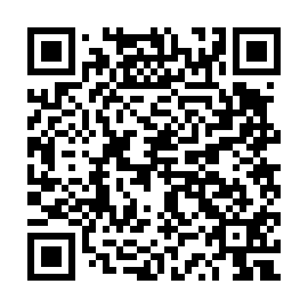 QR code for DSR 411