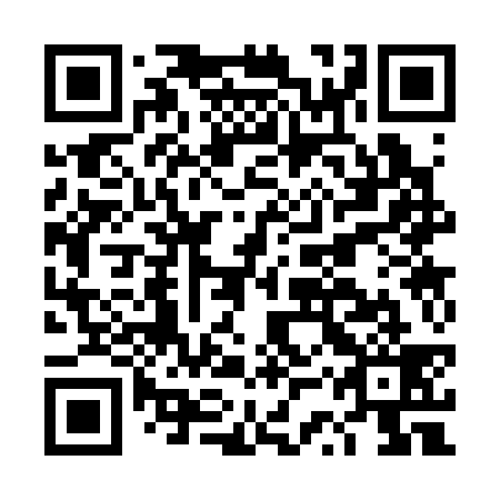 QR code for DSS 339