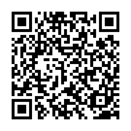 QR code for DSS 703