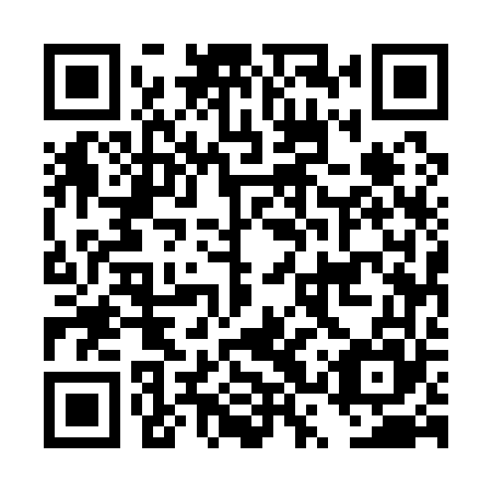QR code for plate DSU 165