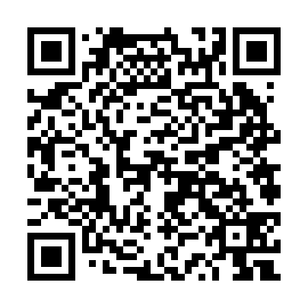 QR code for DSV 239
