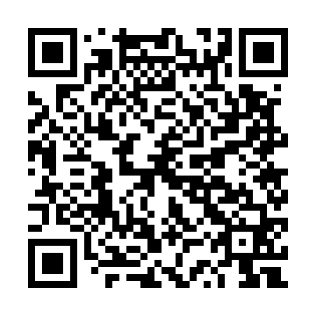 QR code for DSW 560