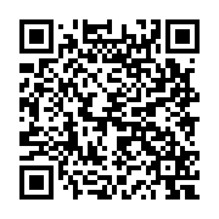 QR code for DSX 125