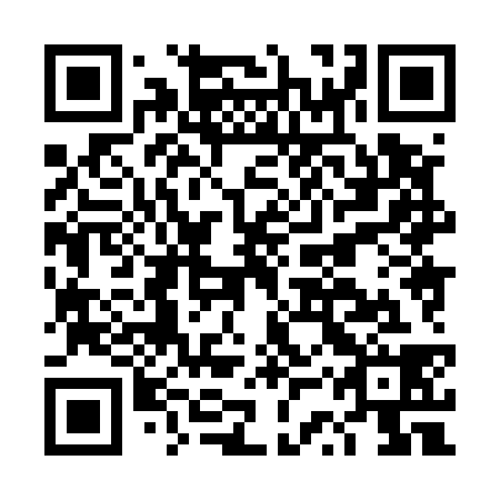 QR code for plate DSX 538