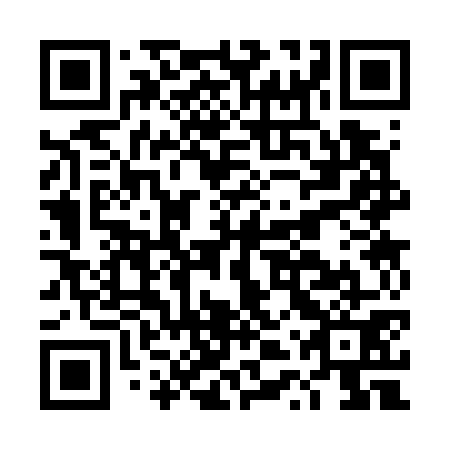 QR code for plate DTS 771