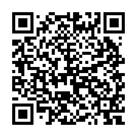 QR code for DTW 291