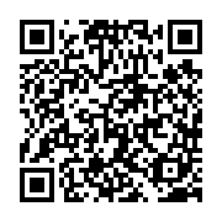 QR code for plate DTX 641