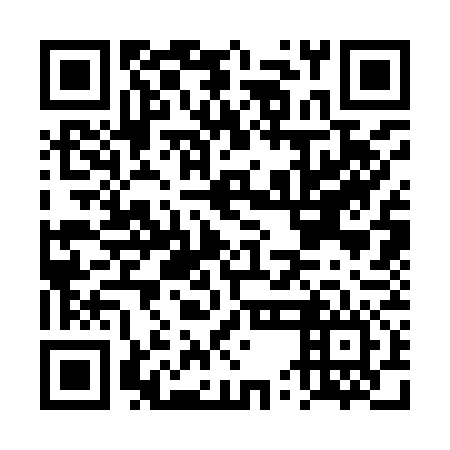 QR code for plate DUC 976