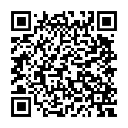 QR code for DUI 441
