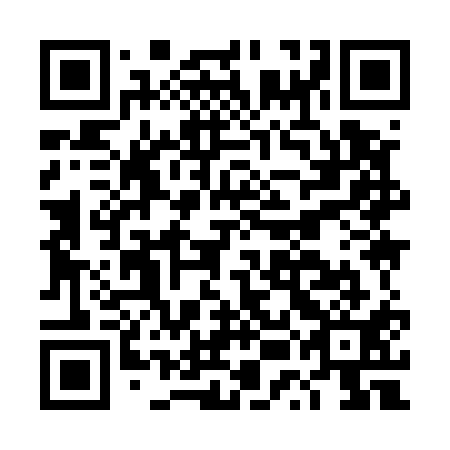 QR code for DUI 511