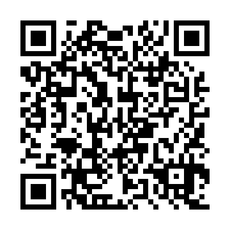 QR code for plate DUL 034