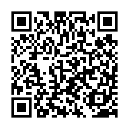 QR code for plate DUR 651