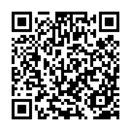 QR code for DUZ 487