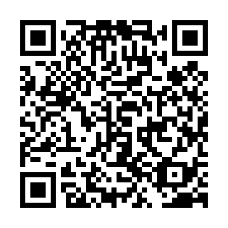 QR code for DVI 439