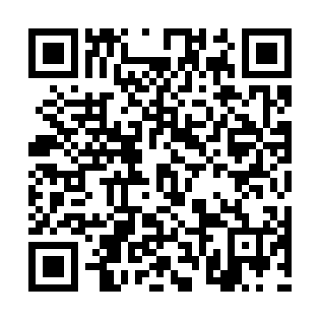 QR code for DVI304