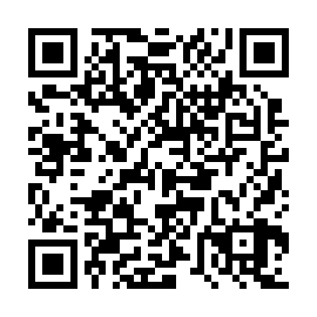 QR code for DVJ 228