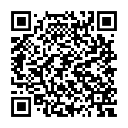 QR code for plate DVM 153
