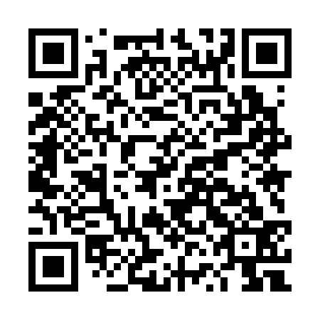 QR code for plate DVM 333