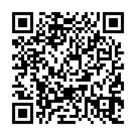 QR code for DVS 113