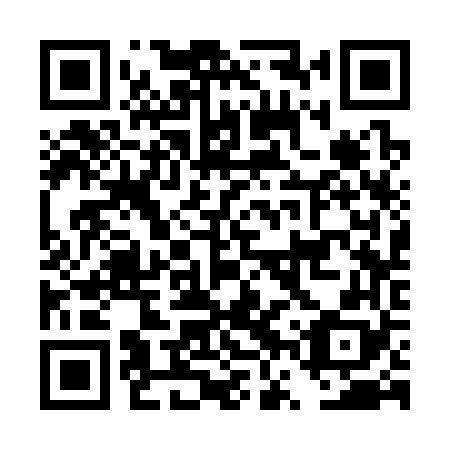 QR code for DVS 368