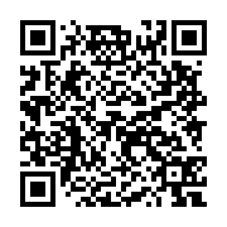 QR code for DVX 534