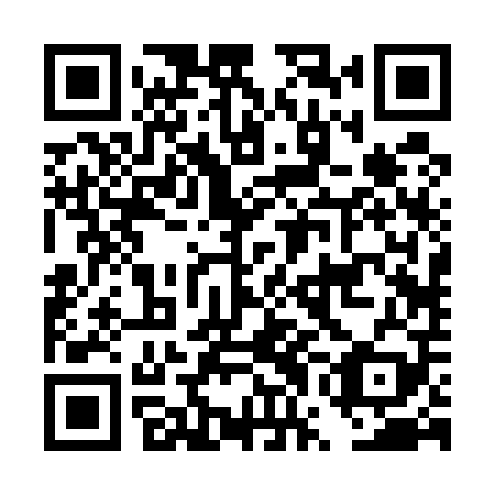 QR code for plate DWB 509